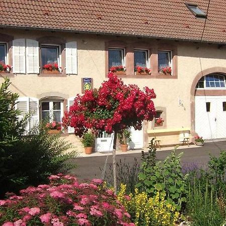 Chambre D'Hote Au Grenier D'Abondance Niderviller ภายนอก รูปภาพ